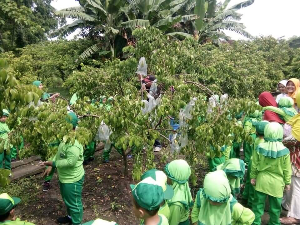 Kebun Belimbing Dempel, Ngawi. Bisa Mendatangkan Ide Baru