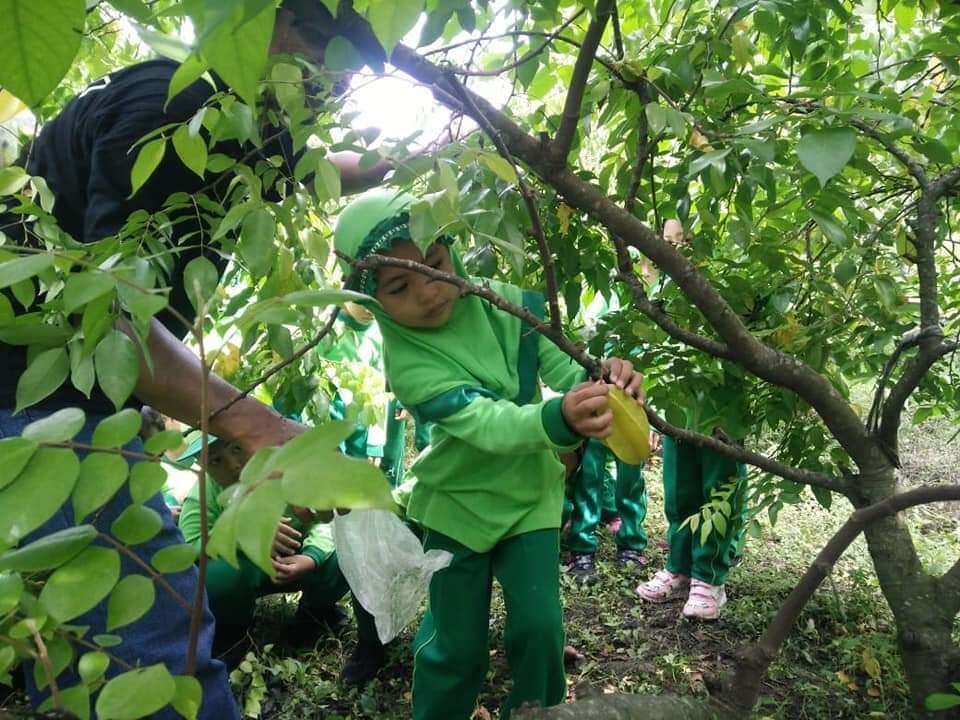 Kebun Belimbing Dempel, Ngawi. Bisa Mendatangkan Ide Baru