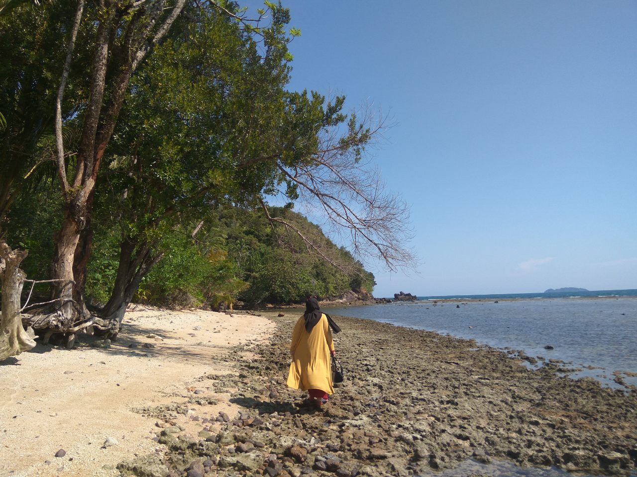 Serpihan Surga Dari Pesisir Selatan