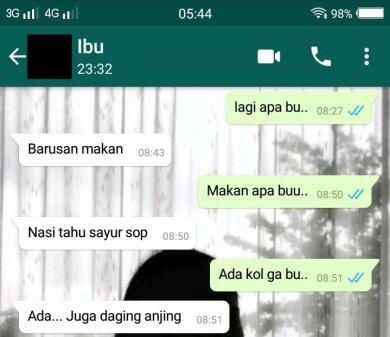 Baca Chat Ibu dan Anak Ini Dijamin Ngakak 4G LTE, Ada yang Jalan Mundur! Lah?