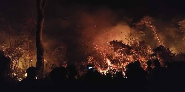 Harimau Bermunculan! Benarkah Tanda Gunung Akan Meletus, Atau Sekedar Disorientasi?