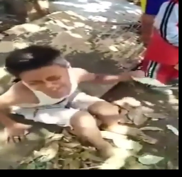 Viral, Video Anak Kecil Nangis Histeris 6 Dombanya Mati Terbakar! Kok Bisa Kebakar? 