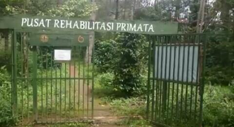 Mr. Sigit Ibrahim Si Penyelamat Rimba