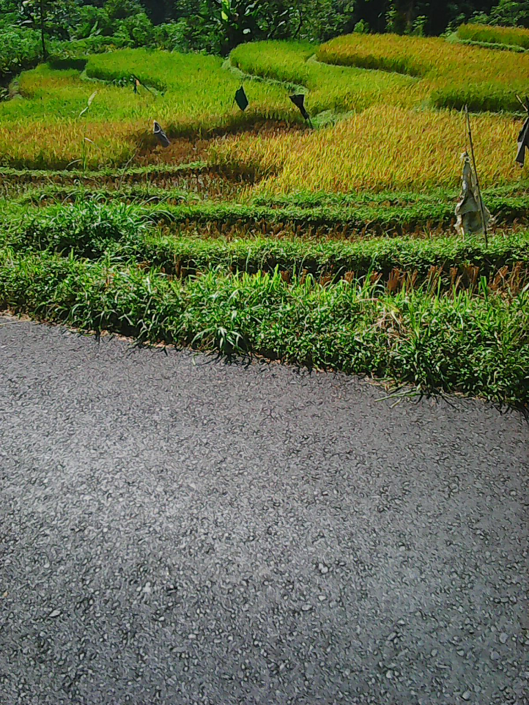 Si Pare Green Park Karanganyar, Tempat Wisata Andalan Keluarga