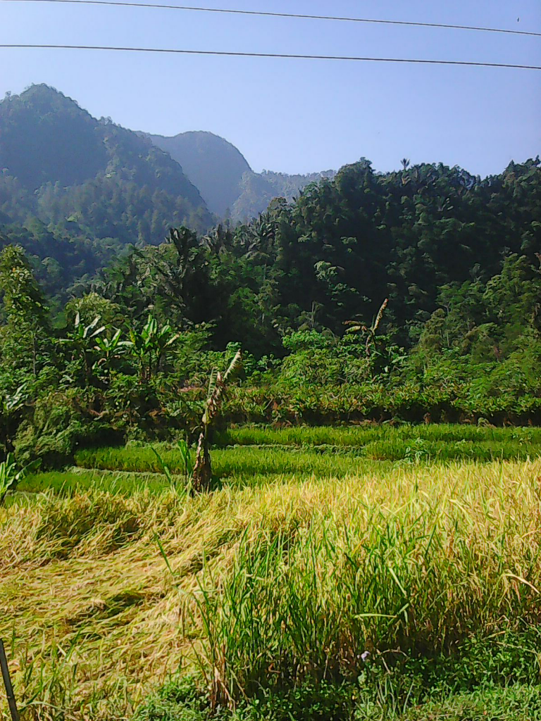 Si Pare Green Park Karanganyar, Tempat Wisata Andalan Keluarga