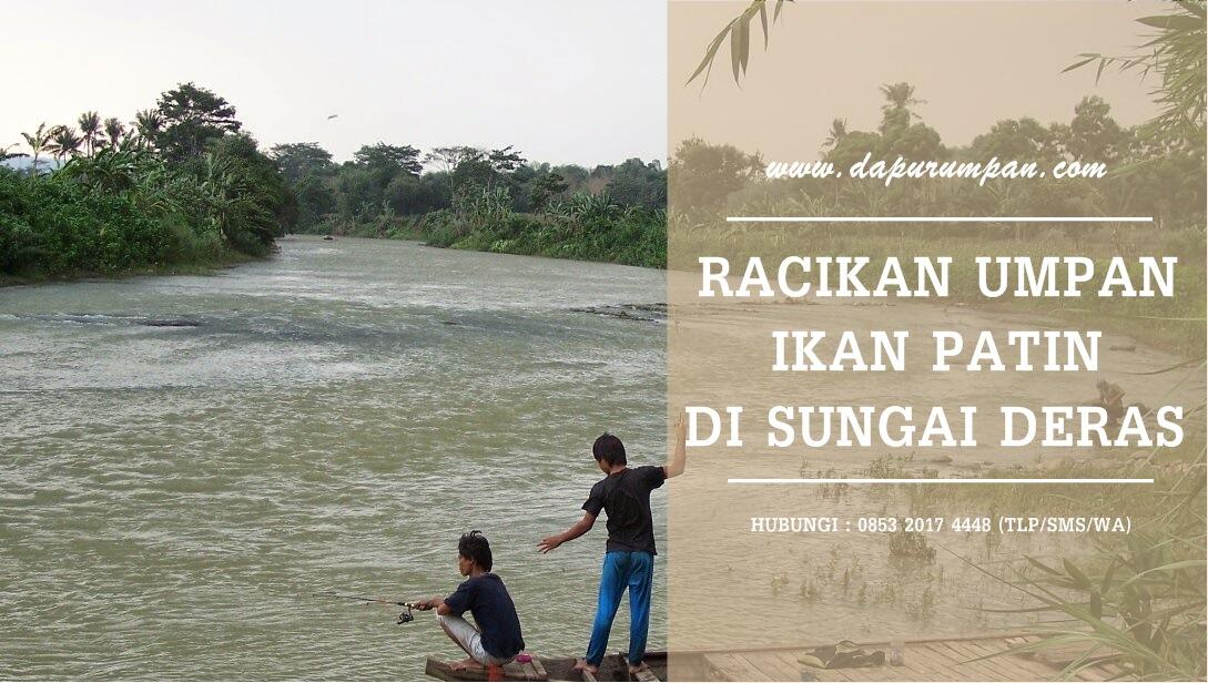 Racikan Umpan Ikan Patin Di Sungai Paling Mantap