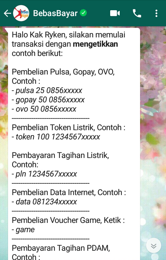 Anti Ribet! Hanya Dengan Whatsapp BebasBayar Semua Bisa Teratasi