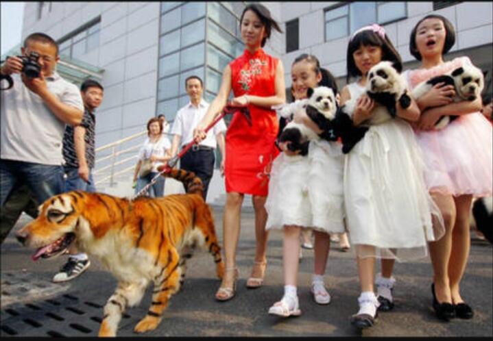 Luar Biasa! Fenomena Aneh dan Kejadian Nyeleneh ini Mungkin Hanya Ada di China!