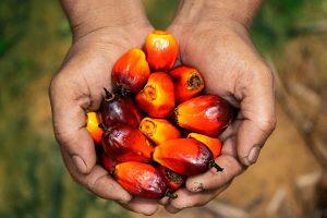 Salim Ivomas Pratama, PP London Sumatra Indonesia and Palm Oil Industries