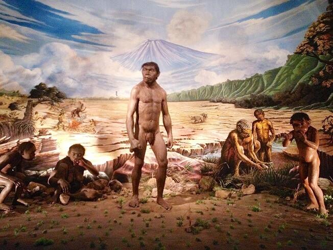 Agnez Mo Buka Suara Soal Ribut BUKAN Berdarah INDONESIA