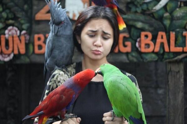 Nggak Cuma Pantai, 5 Kebun Binatang di Bali Ini Juga Layak Dikunjungi