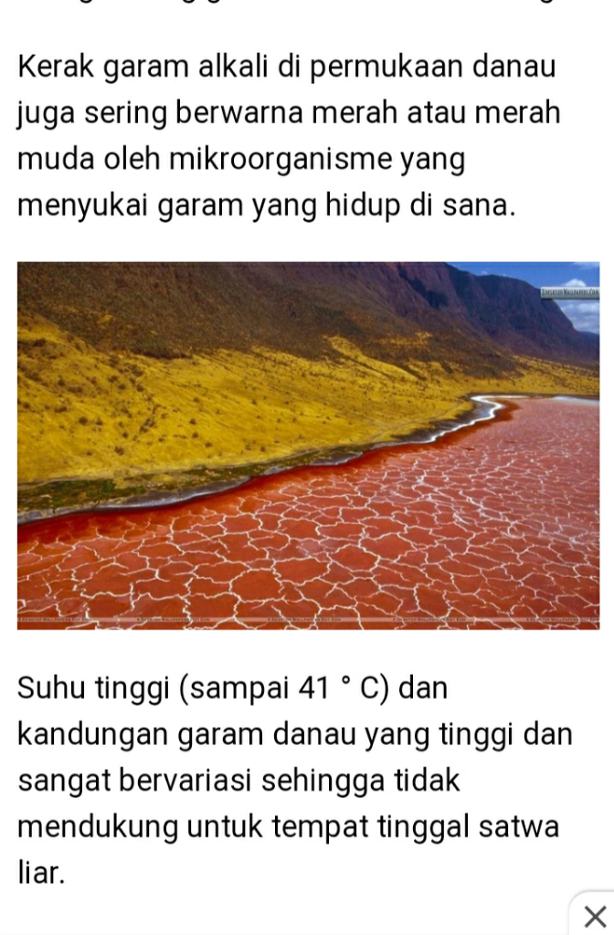 Danau Ini Di Sebut Daerah Kematian, Kenapa Ya?