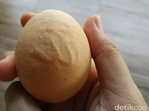 Telur Ayam di Blitar Ini Berlafaz Allah | KASKUS