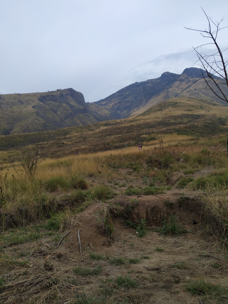 SABANANYA FANTASTIS - PENDAKIAN GUNUNG SUMBING VIA BOWONGSO 23-24 NOVEMBER 2019