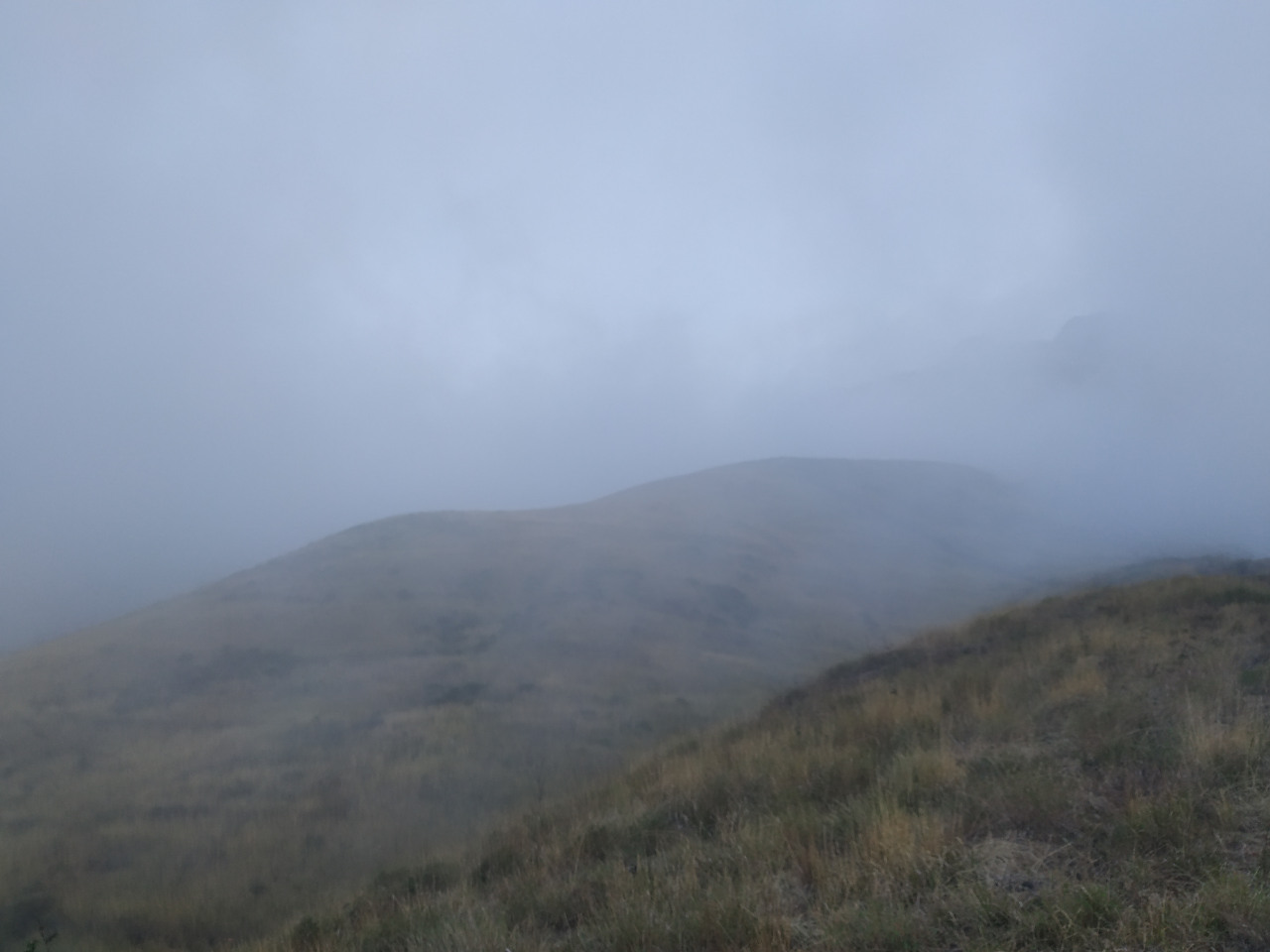 SABANANYA FANTASTIS - PENDAKIAN GUNUNG SUMBING VIA BOWONGSO 23-24 NOVEMBER 2019