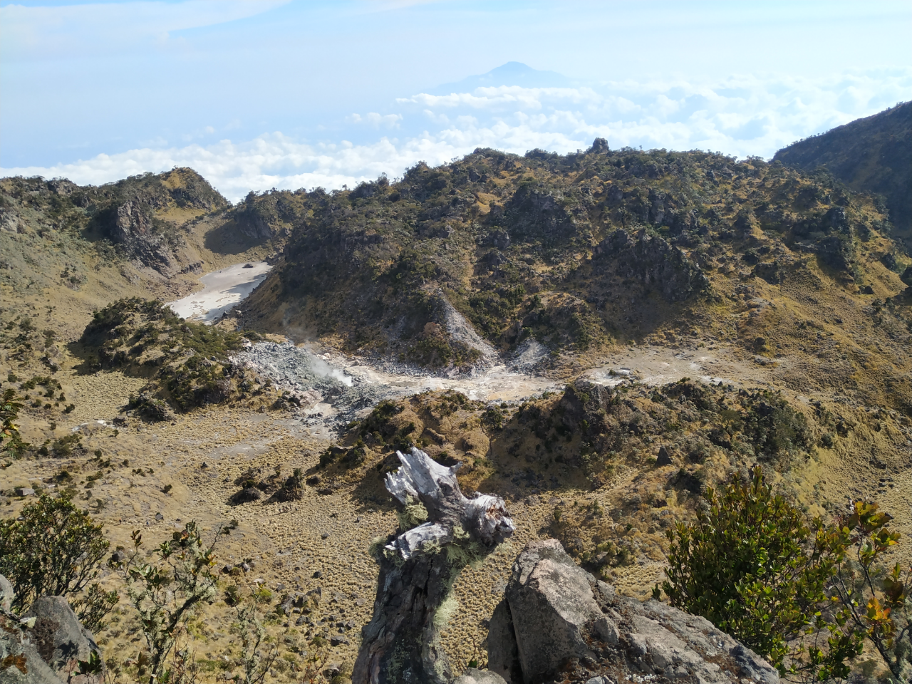 SABANANYA FANTASTIS - PENDAKIAN GUNUNG SUMBING VIA BOWONGSO 23-24 NOVEMBER 2019