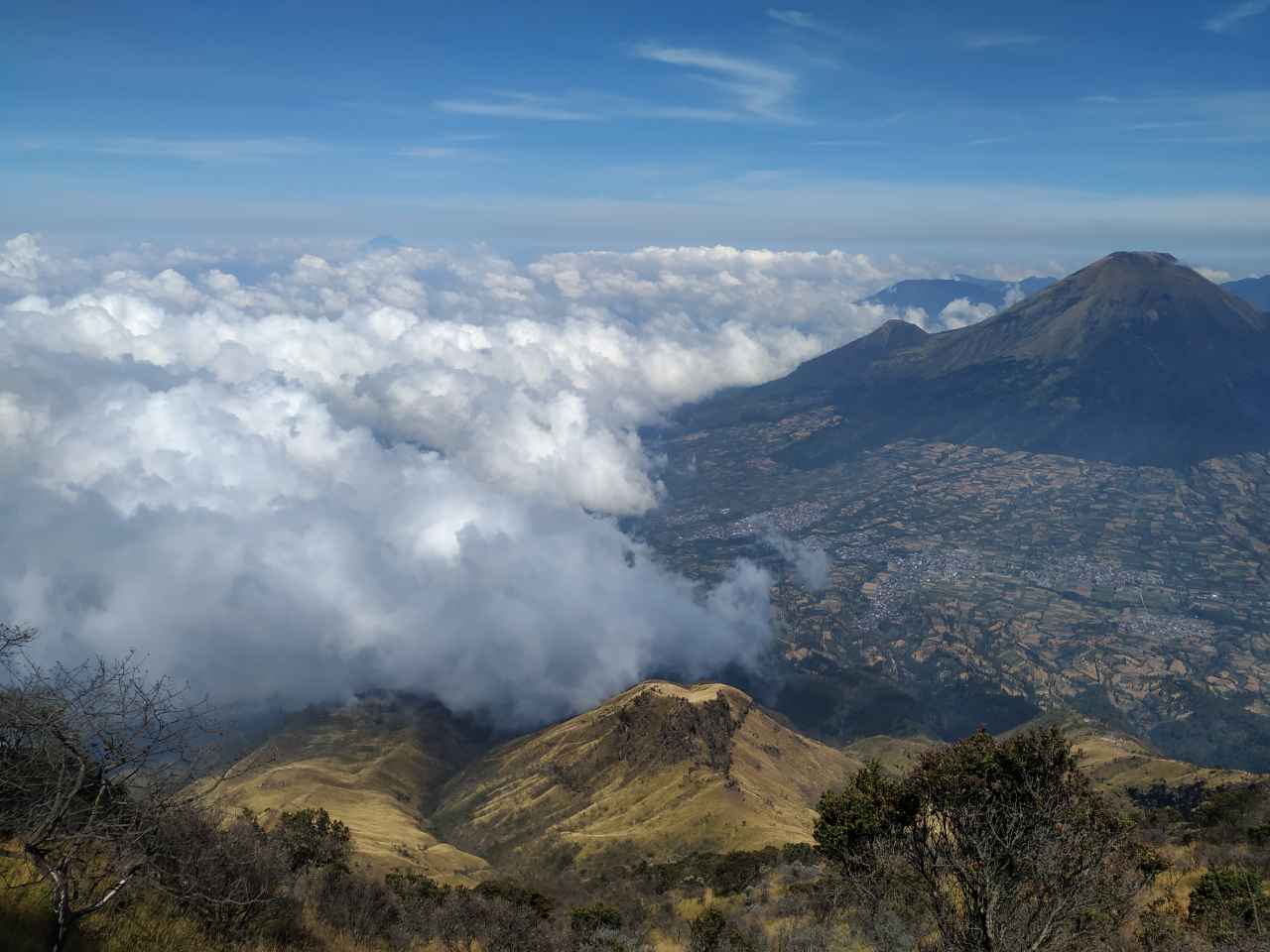 SABANANYA FANTASTIS - PENDAKIAN GUNUNG SUMBING VIA BOWONGSO 23-24 NOVEMBER 2019