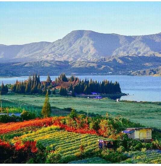 Hutan, Inspirasi Kehidupanku