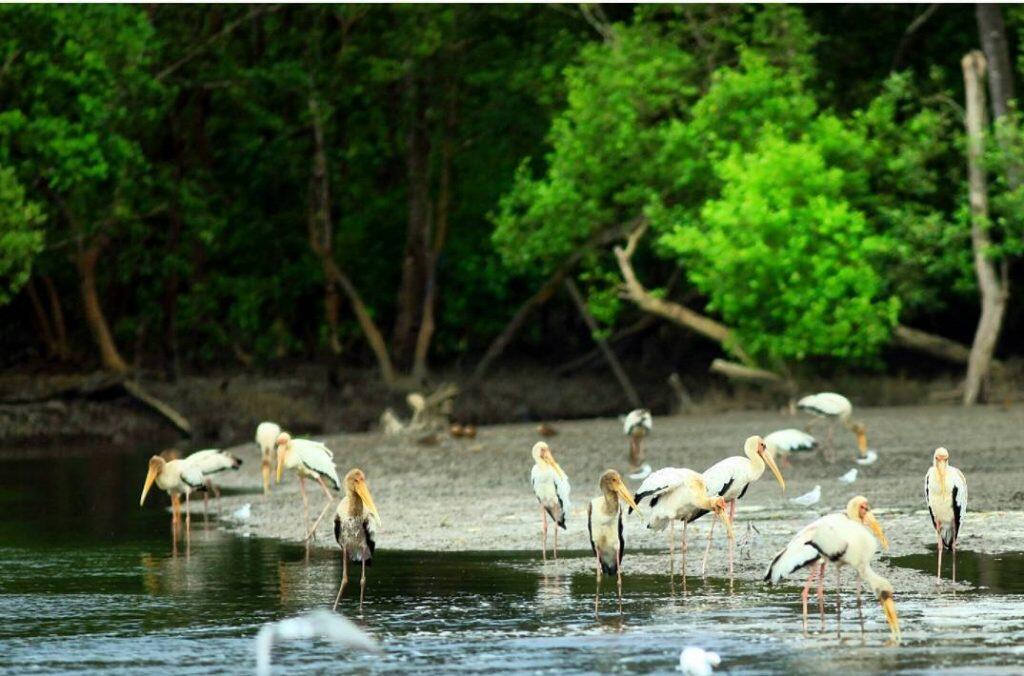 Amazing, Ternyata Indonesia Memiliki 54 Taman Nasional!