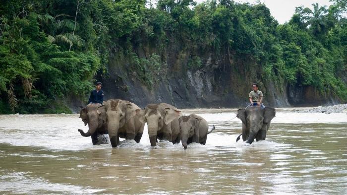 Amazing, Ternyata Indonesia Memiliki 54 Taman Nasional!