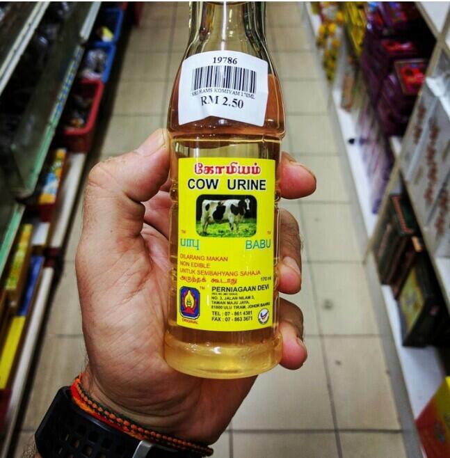 Minuman Ekstrim yang Tidak Lazim, Ada Urine Sapi Juga Loh! 