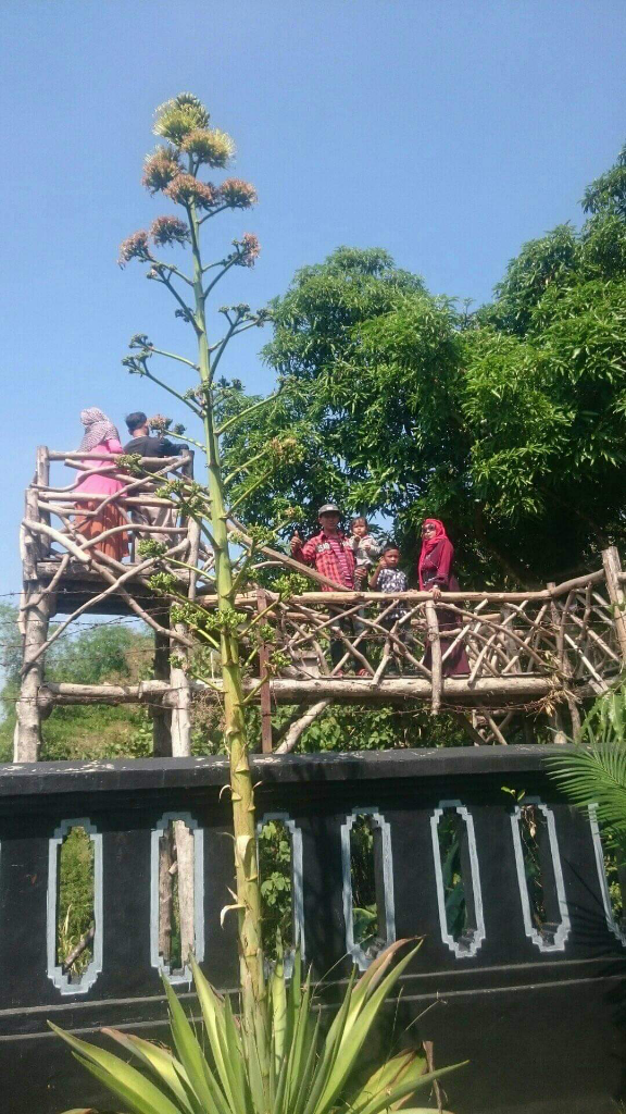 Museum Purbakala Trinil Ngawi, Salah Satu Inspiring Place di Indonesia