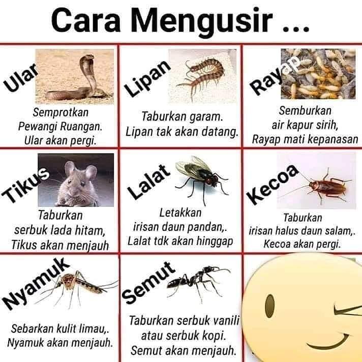 Jika Kamu Bikin Konten Di YouTube Cuman Pengen Di Like, Komen Dan Subscribe