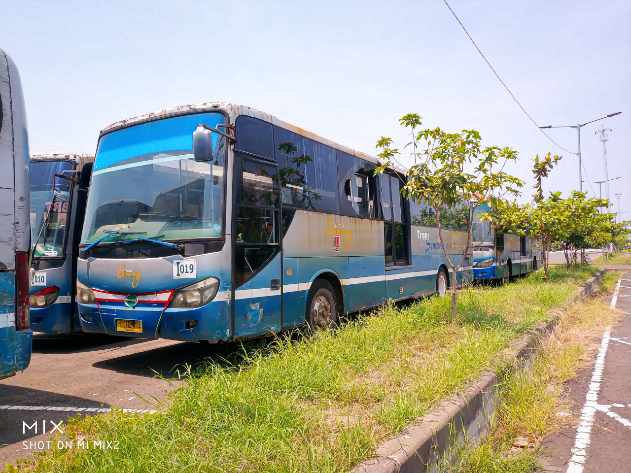 "Kuburan" Bis Trans Semarang Yang Bisa Dijadikan Objek Wisata Dadakan