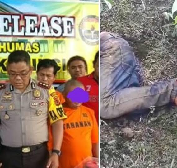 Pebinor Kalau Ketahuan Resikonya Mati Kalau Ga Di Penjara, Loh Kok Bisa?