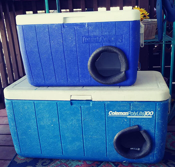 Pria ini Menyulap Barang Bekas, menjadi Tempat Tinggal untuk Kucing di Musim Dingin