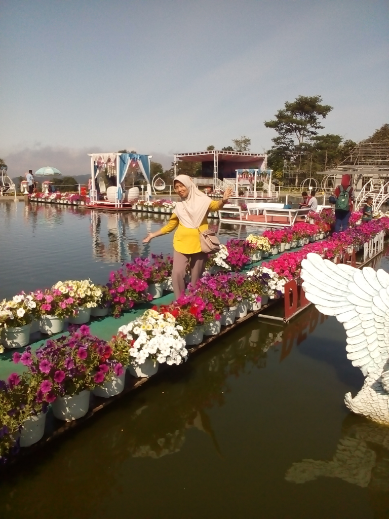 Taman Bunga Celosia Indahnya Sungguh Menginspirasi, Simak 5 Keistimewaannya!
