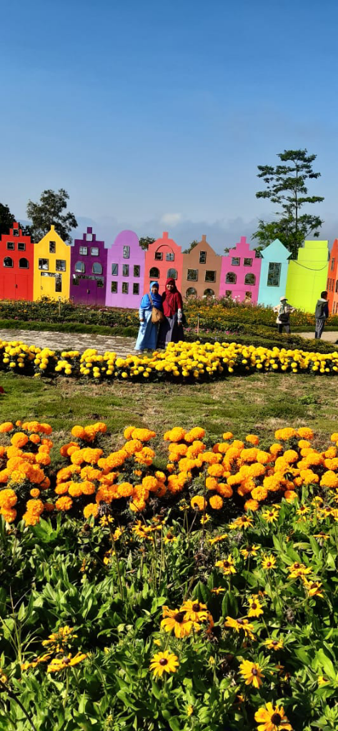 Taman Bunga Celosia Indahnya Sungguh Menginspirasi, Simak 5 Keistimewaannya!
