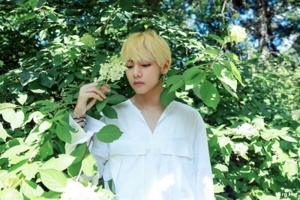 Siapkan Hadiah, Ini 14 Idol KPop yang Berulang Tahun Bulan Desember