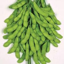 Edamame Product Khas Jember Yang Oke Punya