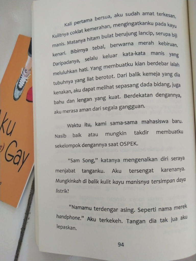 Review Buku---Aku (Bukan) Gay: Kisah Mereka Yang Dianugerahi Rasa Berbeda