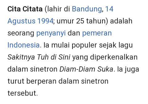 Cita-Cita dan Cita Citata Itu Siapa! Kalian Mau Tau, Simak Yuuu?