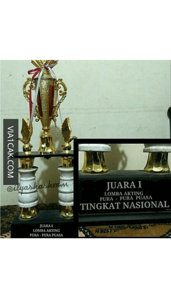 Ngakak! 8 Gelar Juara Paling Nyeleneh, No 2 Juara Mewarnai Rumah Tangga Orang Lain