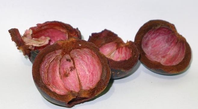 &#91;DIY&#93; Mengolah Pewarna Dari Alam Untuk Berkarya