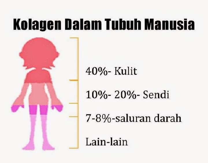 Hethara Collagen, Skin Booster Yang Wajib Agan &amp; Sista Coba!