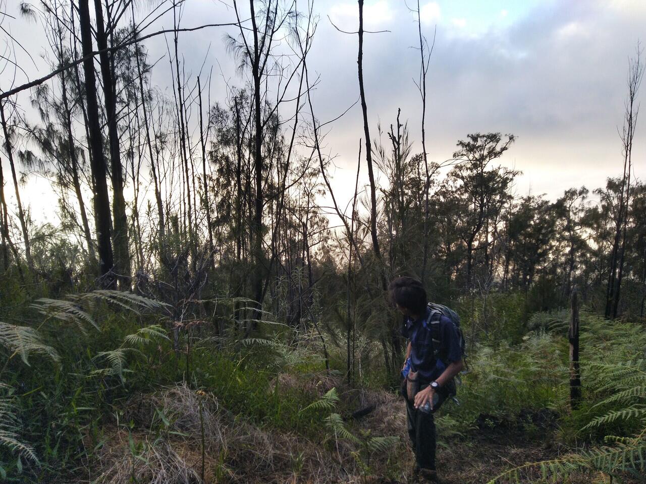 LAWU jalur klasik via SINGOLANGU