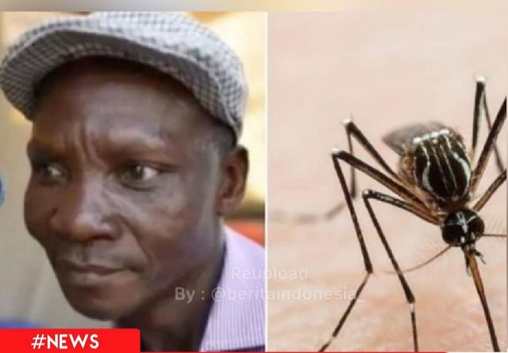 Wow! Kentutnya Bisa Membunuh Serangga! Pria Ini Diincar Perusahaan Pestisida