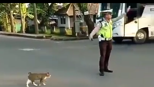 Video Polisi Baik yang Tidak Viral! Benarkah Kebaikan Kalah dengan Konten Prank? 