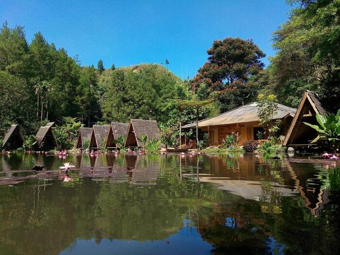 Imah Seniman, Tidur di Danau makan di Hutan