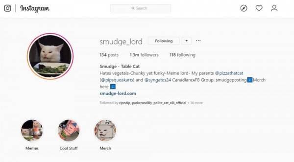10 Potret Smudge, Kucing Selebriti yang Viral Jadi Bahan Meme
