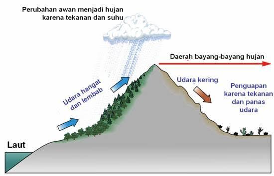 Oasis Keren Di Dunia, Kok Bisa Ya Ditengah Gurun Ada Air?