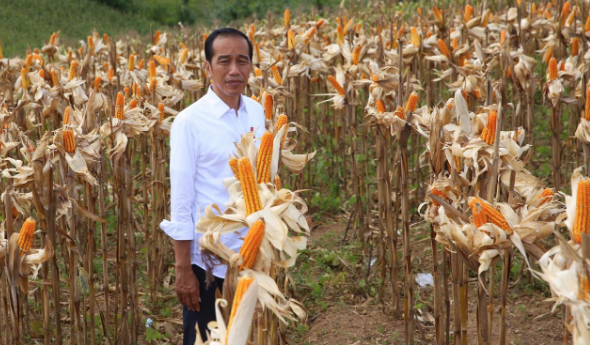 Ada yang Senang RI Impor Melulu, Jokowi: Untungnya Gede