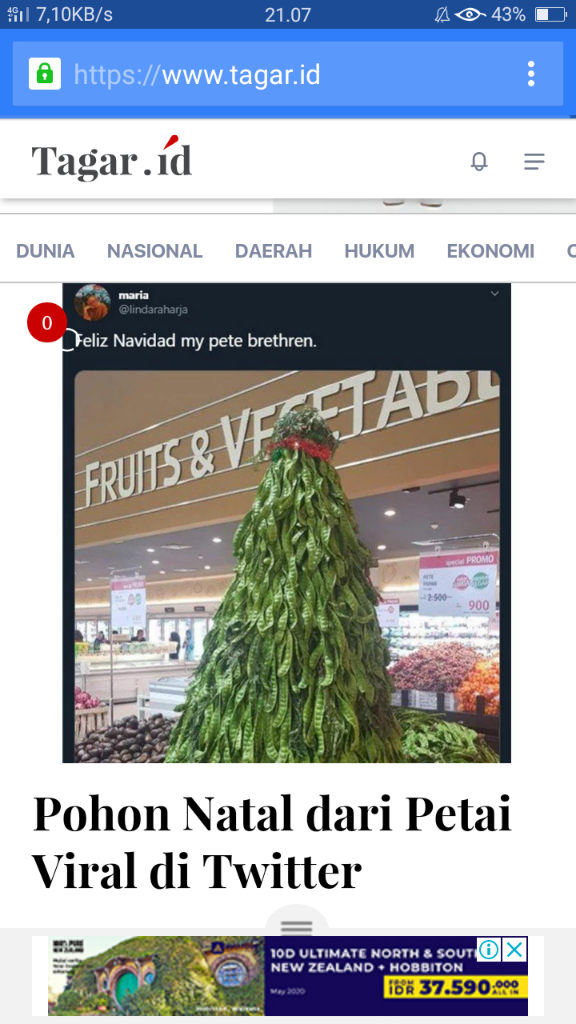 Pohon Natal dari Petai Viral di Twitter