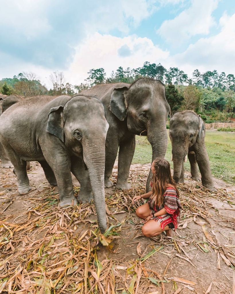 Tahun Baru Liburan Ke thailand, Ketahui 5 Hal Ini Dulu Yaa