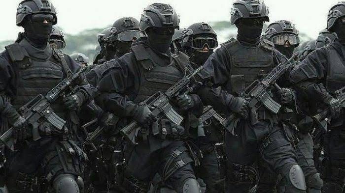 Bisakah Tim Elite TNI Terjun Bebaskan Sandera Abu Sayyaf Seperti Woyla?