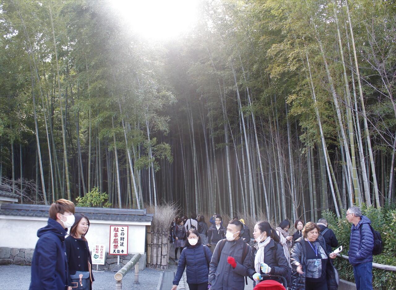 Pengalaman Backpacker Osaka-Kyoto 3 Hari 4 Malam Cuma 2,5 Juta, Bisa ? (PART 2)